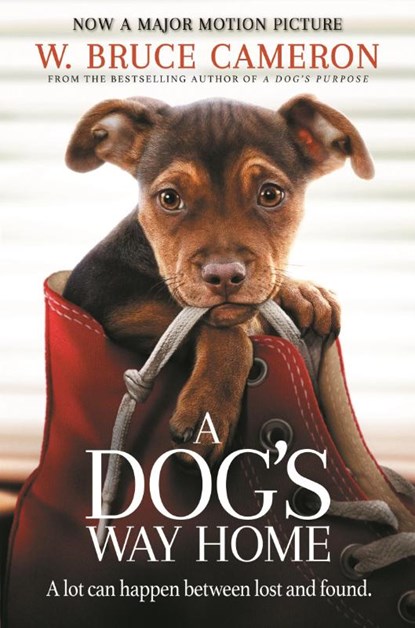 A Dog's Way Home, W. Bruce Cameron - Paperback - 9781529002690