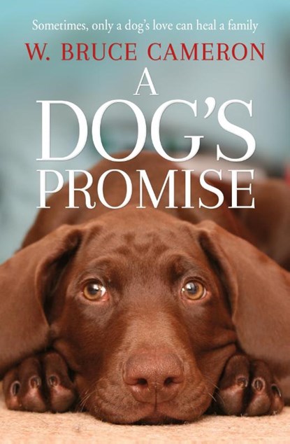 A Dog's Promise, W. Bruce Cameron - Paperback - 9781529010084