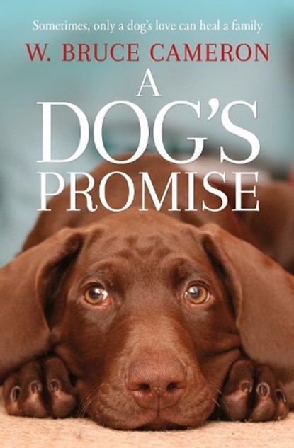A Dog's Promise, W. Bruce Cameron - Paperback - 9781529010084