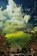 The Enigma of Arrival, S. NAIPAUL,  V. - Paperback - 9781529014082