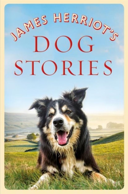 James Herriot's Dog Stories, James Herriot - Paperback - 9781529023619