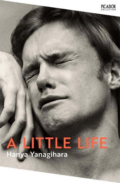 A Little Life, Hanya Yanagihara - Paperback - 9781529077216