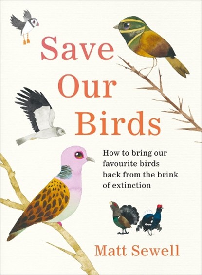 Save Our Birds, Matt Sewell - Gebonden - 9781529107944