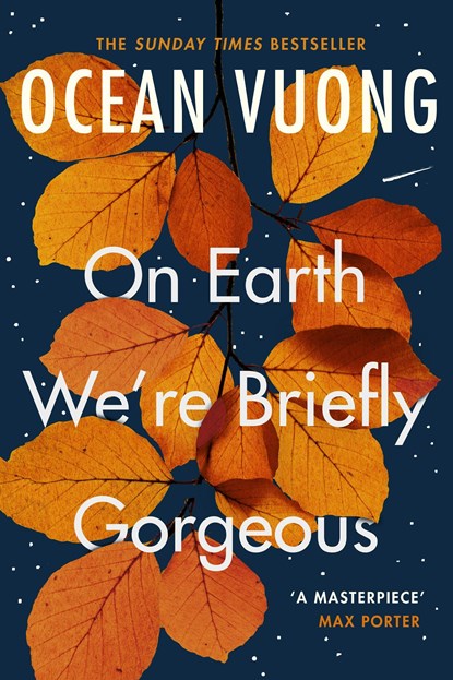 On Earth We're Briefly Gorgeous, Ocean Vuong - Paperback - 9781529110685