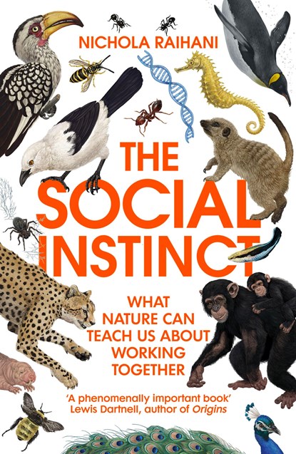 The Social Instinct, Nichola Raihani - Paperback - 9781529112122