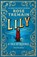 Lily, Rose Tremain - Paperback - 9781529115178