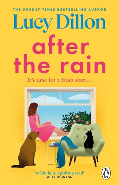 After the Rain, Lucy Dillon - Paperback - 9781529176209