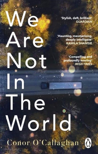 We Are Not in the World, Conor O'Callaghan - Paperback - 9781529176360