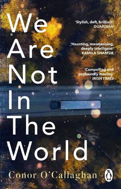 We Are Not in the World, Conor O'Callaghan - Paperback - 9781529176360