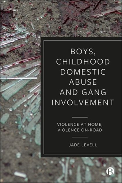 Boys, Childhood Domestic Abuse and Gang Involvement, Jade (University of Bristol) Levell - Gebonden - 9781529219807