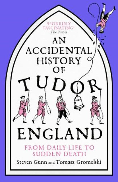 An Accidental History of Tudor England, Steven Gunn ; Tomasz Gromelski - Paperback - 9781529333763