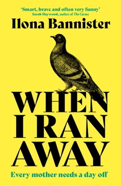 When I Ran Away, Ilona Bannister - Ebook - 9781529352672