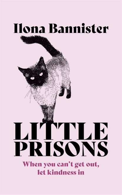Little Prisons, Ilona Bannister - Paperback - 9781529353921