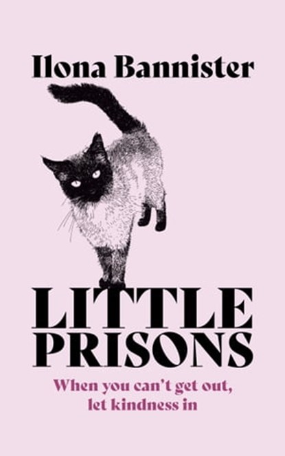 Little Prisons, Ilona Bannister - Ebook - 9781529353938