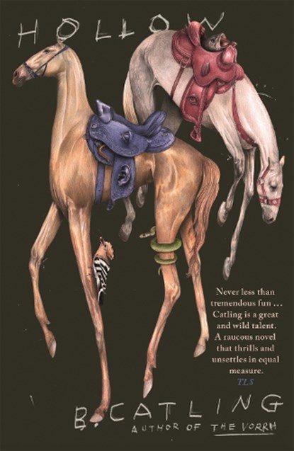 Hollow, Brian Catling - Paperback - 9781529366464