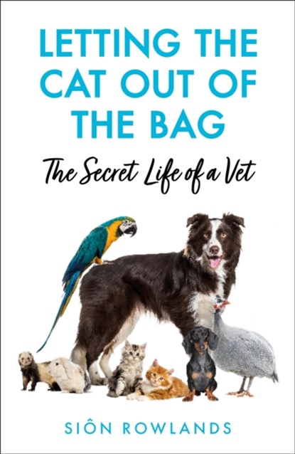 Letting the Cat Out of the Bag, Sion Rowlands - Paperback - 9781529395235