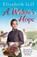 A Widow's Hope, Elizabeth Gill - Paperback - 9781529400717
