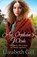 An Orphan's Wish, Elizabeth Gill - Paperback - 9781529421071