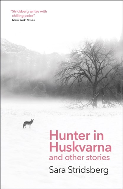 Hunter in Huskvarna, Sara Stridsberg - Paperback - 9781529423266