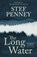 The Long Water, Stef Penney - Gebonden - 9781529425673