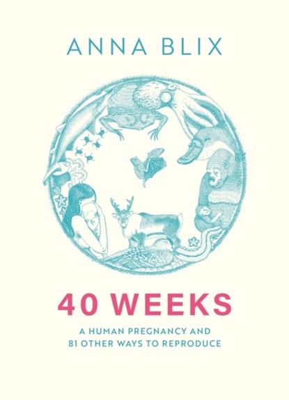 40 Weeks, Anna Blix - Gebonden - 9781529434804