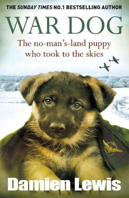 War Dog, Damien Lewis - Paperback - 9781529435511