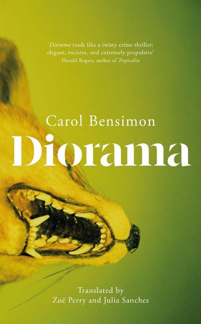Diorama, Carol Bensimon - Gebonden - 9781529438451