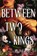 Between Two Kings, Lindsay Straube - Gebonden - 9781529445886