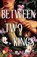 Between Two Kings, Lindsay Straube - Paperback - 9781529445923