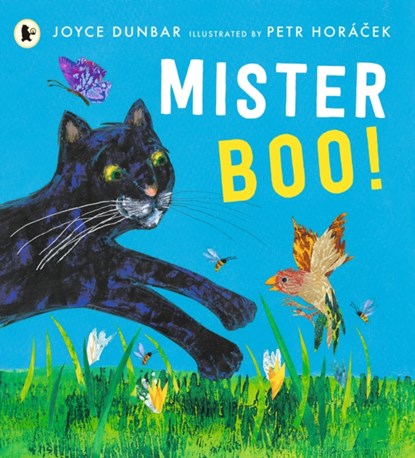 Mister Boo!, Joyce Dunbar - Paperback - 9781529504071