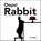 Oops! Rabbit, Jo Ham - Gebonden - 9781529509113