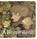 A Brave Bear, Sean Taylor - Gebonden - 9781529511864