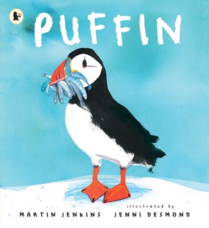 Puffin, Martin Jenkins - Paperback - 9781529513639