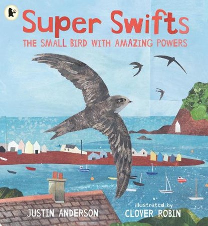 Super Swifts: The Small Bird With Amazing Powers, Justin Anderson - Paperback - 9781529523690