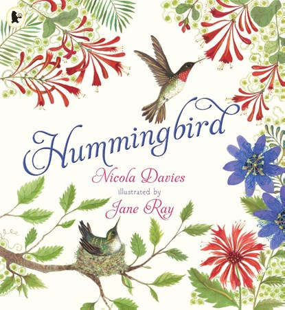 Hummingbird, Nicola Davies - Paperback - 9781529523874