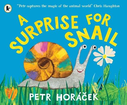 A Surprise for Snail, Petr Horacek - Paperback - 9781529525502
