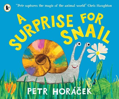 A Surprise for Snail, Petr Horacek - Paperback - 9781529525502
