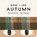 Now I See Autumn, Mac Barnett - Gebonden - 9781529535754