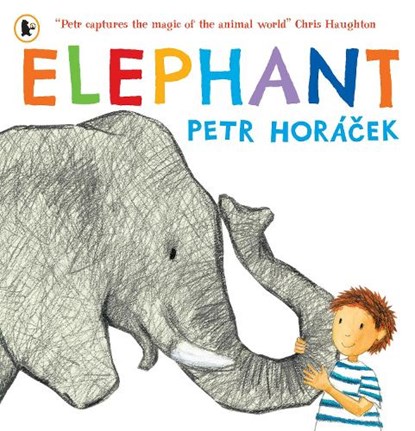 Elephant, Petr Horacek - Paperback - 9781529538854