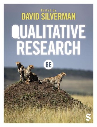 Qualitative Research, David Silverman - Gebonden - 9781529688108
