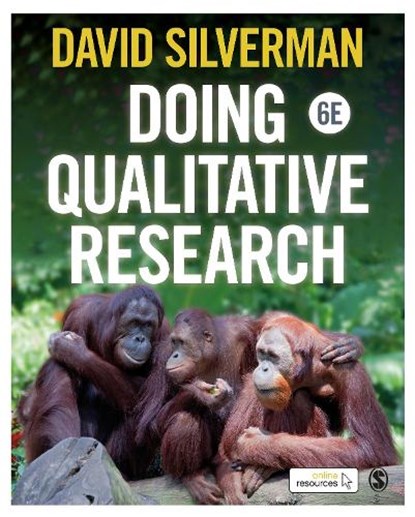 Doing Qualitative Research, Silverman - Paperback - 9781529769005
