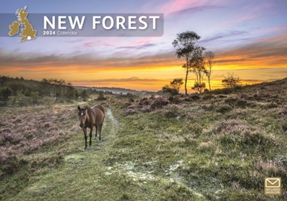 New Forest A4 Calendar 2024, niet bekend - Paperback - 9781529831405
