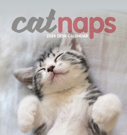 Cat Naps Easel Desk Calendar 2024, niet bekend - Paperback - 9781529837339