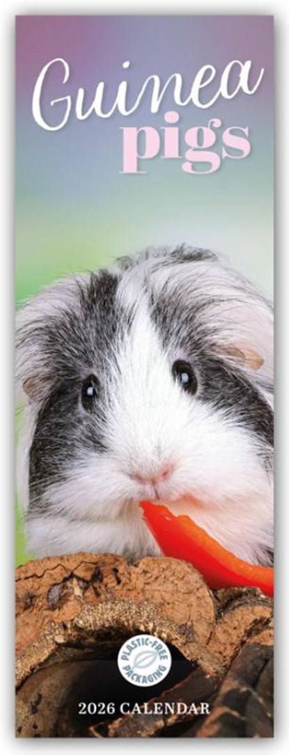 Guinea Pigs Slim Calendar 2026, Carousel Calendar - Paperback - 9781529847673