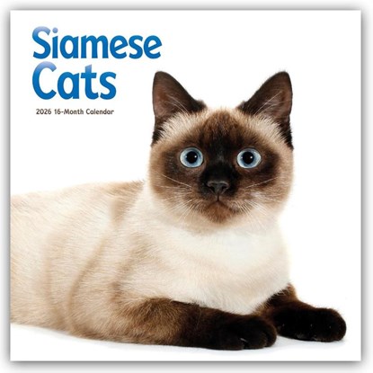 Siamese Cats Square Wall Sunday Start Ca, Carousel Calendar - Paperback - 9781529852059