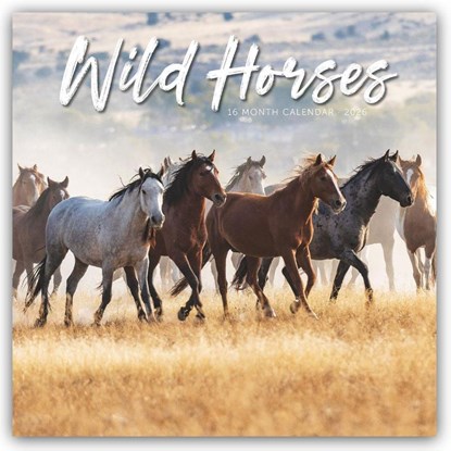 Wild Horses Square Wall Sunday Start Cal, Carousel Calendar - Paperback - 9781529852066
