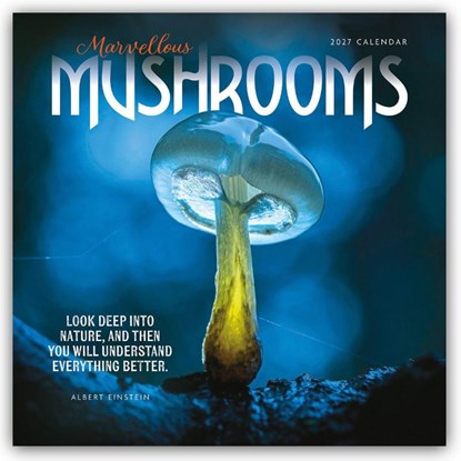 Marvellous Mushrooms W, Carousel Calendar - Paperback - 9781529858150
