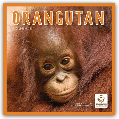 Orangutan (PFP) W, Carousel Calendar - Paperback - 9781529858204