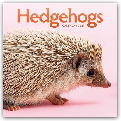 Hedgehogs (PFP) W, Carousel Calendar - Paperback - 9781529858433