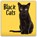 Black Cats (PFP) W, Carousel Calendar - Paperback - 9781529858525